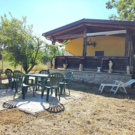 Ciliegio L'Aquila